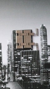 Audemars Piguet Royal Oak salmon dial